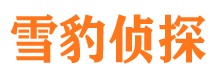 海南区外遇调查取证